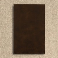 Puppy Adventure Journal Rustic Brown and Gold Leatherette