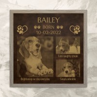 New Puppy 3 Photo Collage - Rustic Brown Gold Leatherette