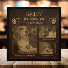 New Puppy 3 Photo Collage - Rustic Brown Gold Leatherette