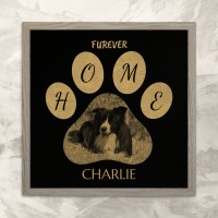 Rescue Dog Forever Home Paw Print Photo - Black Gold Leatherette